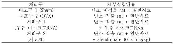 난소 절제된 rat을 이용한 골다공증 예방 실험 설계