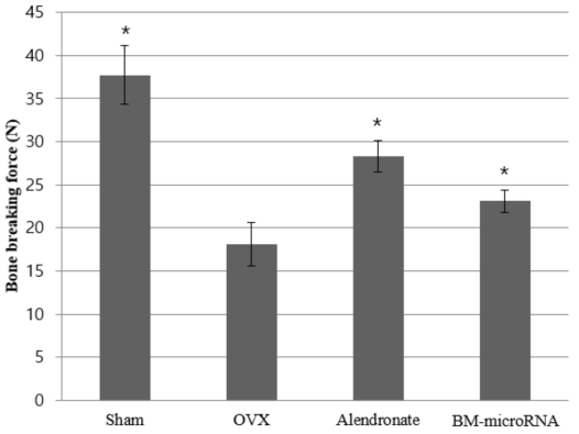 Bone mineral density (BMD) of femur in medically ovariectomized (OVX) rats fed on bovine milk-derived microRNA (BM-microRNA). Values are means ±SE. Significant differences were found among groups versus OVX group (P<0.05). n=5 for each group