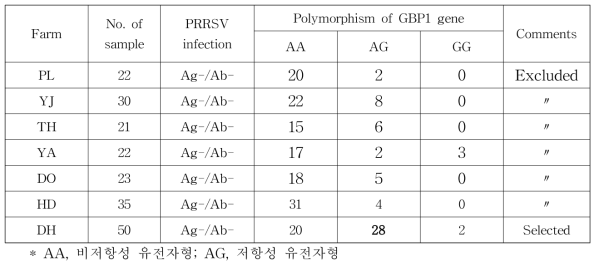 국내 PRRS 음성 양돈장 선정 및 PRRS 저항성인자 보유현황조사 결과