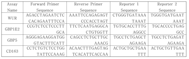 WUR, GBP1E2, GBP5, CD163 유전자의 다형성 분석을 위한 primer와 probe