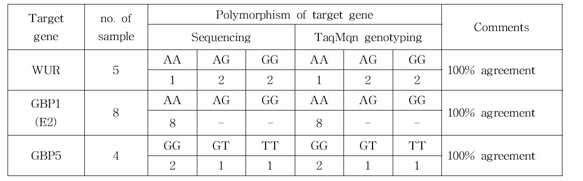 WUR, GBP1E2, GBP5 유전자형에 대한 염기서열 및 TaqMan genotyping 분석결과