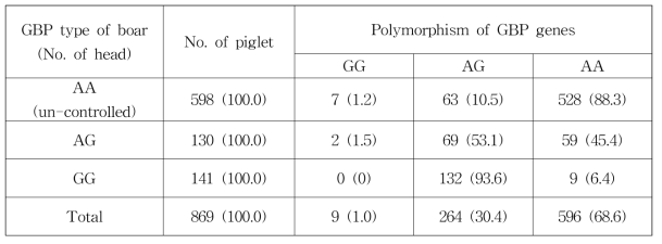 웅돈의 GBP 유전형에 따른 생산자돈의 유전자형 분포 분석결과