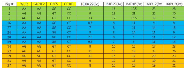 RNA sequencing 대상 개체의 성장 특성(body weight gain, kg)