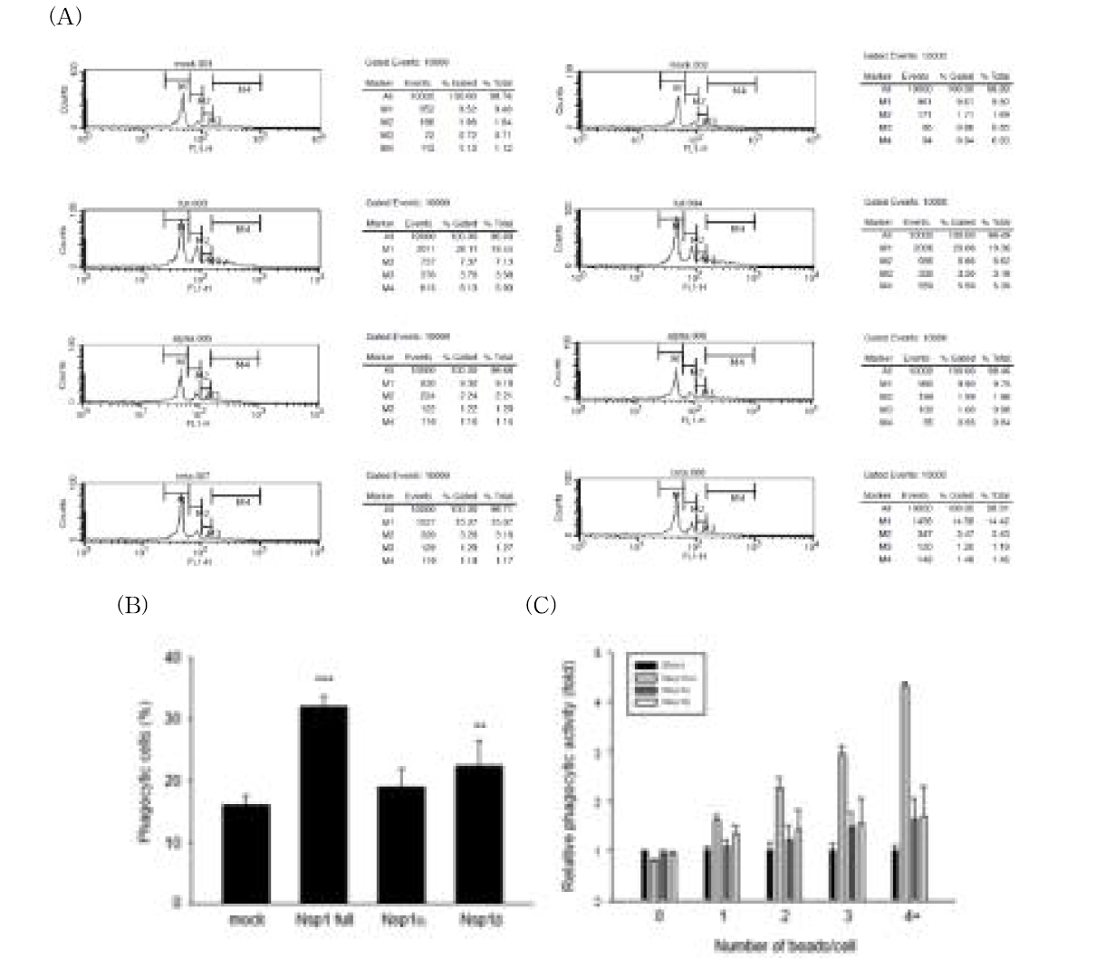 (A) Phagocytosis assay FACS 분석 결과 (B,C) PRRSV의 NSP1 full, NSP1α, NSP1β 처리 세포주의 대조군(Mock 처리) 대비 식세포 작용 분석 결과