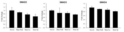 PRRSV NSP1 full, NSP1α 및 NSP1β가 과발현된 3D4/31 세포주의 SMAD2, SMAD3, SMAD4 유전자 발현 분석 결과