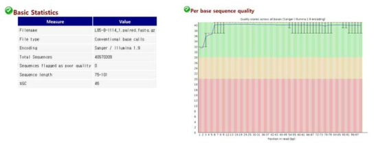 FastQC를 이용한 RNA sequencing raw data의 quality 확인