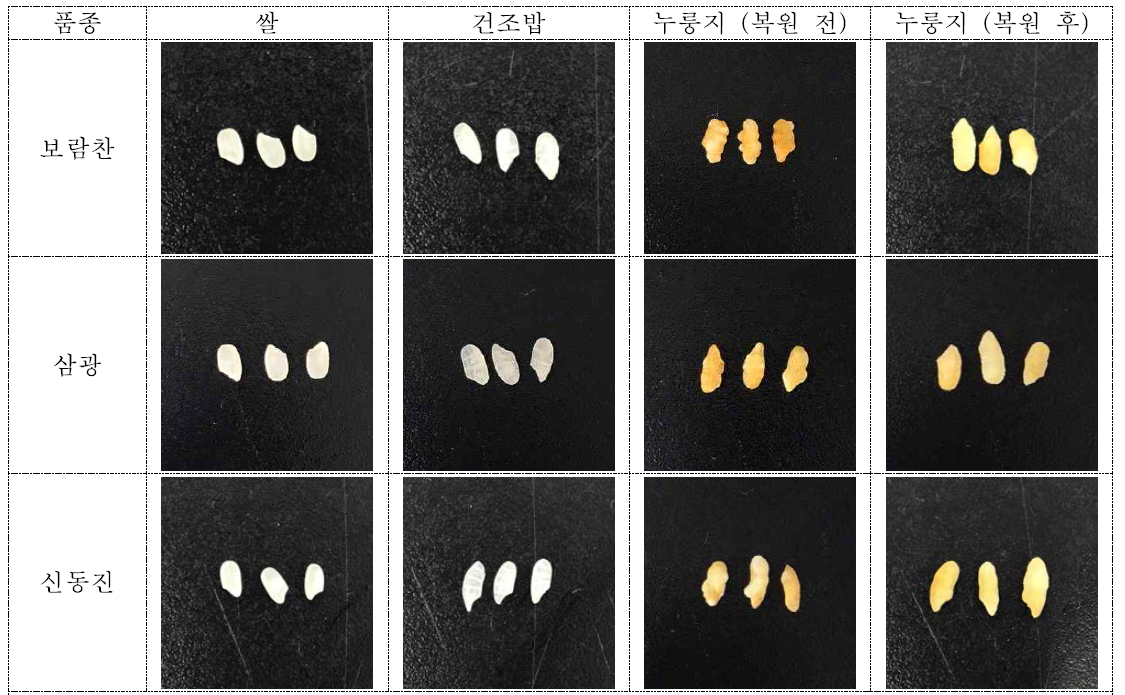 쌀 품종/처리공정별 외관