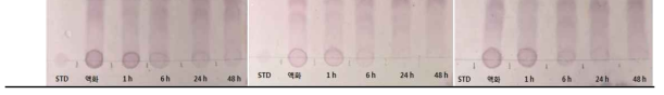 제조 2단계 효소 처리 및 반응시간에 따른 당 조성 변화 – TLC