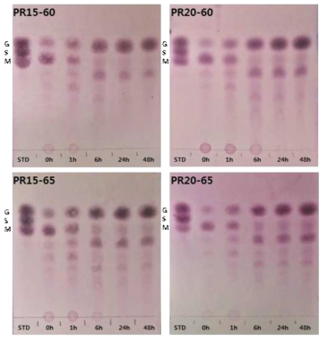 팽화미분 가수분해물의 구성당 변화 - TLC