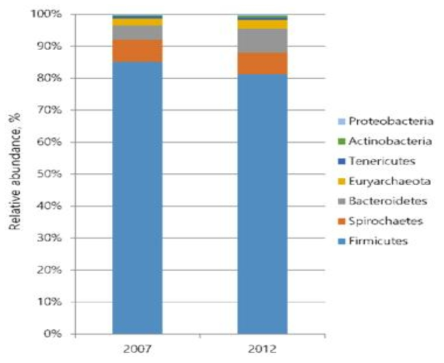 Bacterial taxonomic compositions of phylum level