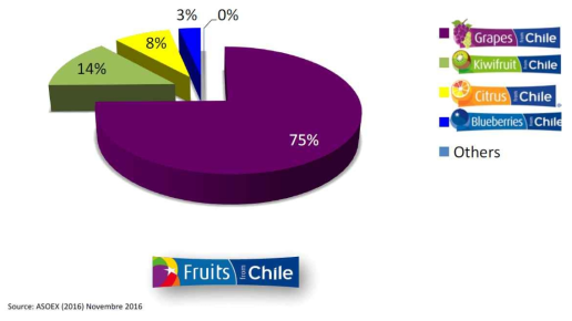 칠레 주요 과일의 수출비중