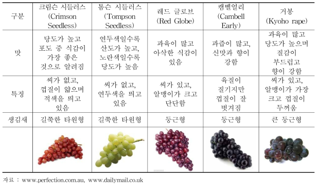 주요 신선 포도 품종별 특징