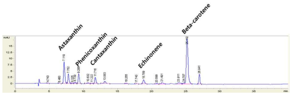 액체크로마토그래피로 분석에 의한 스키조키트리움 속(Schizochytrium sp.) SH104 의 카로티노이드 계열의 항산화 색소 베타카로틴, 에키네논, 칸타잔틴, 아스타잔틴의 조성 분석