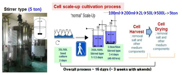 5톤 (5000 L) 배양기를 이용한 스키조키트리움 속(Schizochytrium sp.) SH104 균체의 회분식 발효 배양 공정