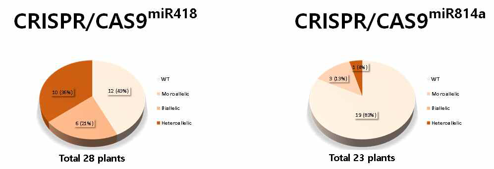 miR418과 miR814a에 대한 CRISPR/Cas9 돌연변이 패턴