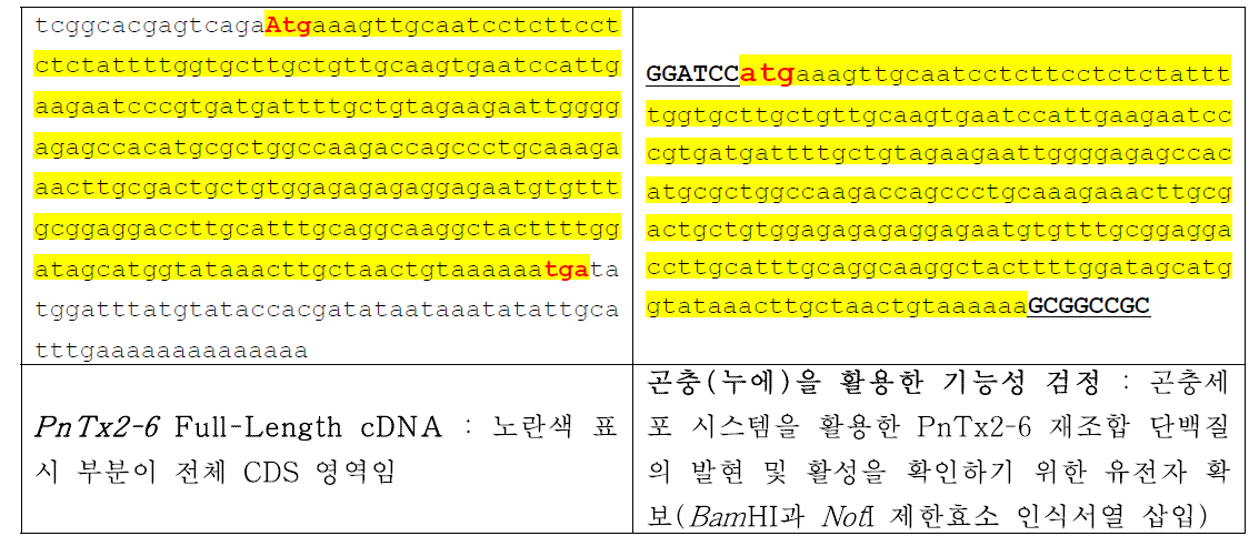거미 독 유전자 (PnTx2-6)의 전체 cDNA 및 CDS 염기서열