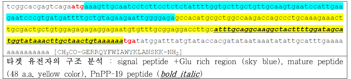 정보 분석방법을 활용한 타겟 유전자 구조 분석