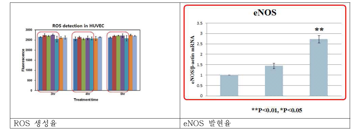 물리화학적 안전성 시험 결과 보고서