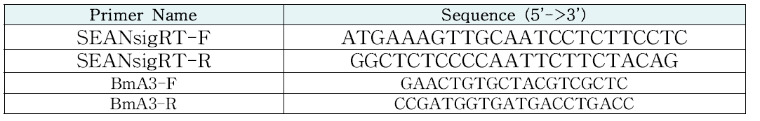 SEANx2 virus 감염 확인을 위한 프라이머세트 합성