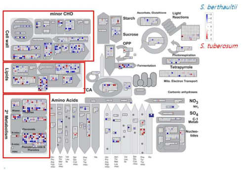 MapMan을 이용한 대사물질 생합성관련 전사체의 대사 분포 분석. 두드러진 발현 차이를 나타내는 항목을 붉은색 사각형으로 표시하였다