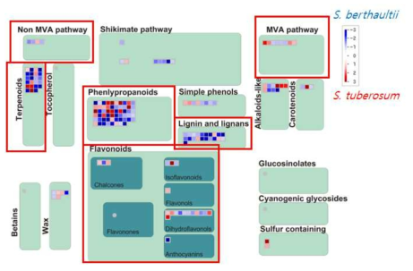 MapMan을 이용한 이차대사물질 관련 전사체의 대사 분포 분석. 두드러진 발현 차이를 나타내는 항목을 붉은색 사각형으로 표시하였다