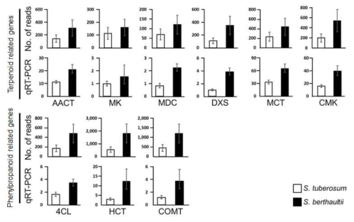 감자 야생종과 재배종간의 terpenoid 및 phenylpropanoid 생합성 관련 유전자의 발현양 비교. Acetyl-CoA C-acetyltransferase (AACT), Mevalonate kinase (MK), Mevalonate pyrophosphate decarboxylase (MDC), 1-deoxy-D-xylulose 5-phosphate synthase (DXS), 2-C-methyl-D-erythritol 4-phosphate cytidylyltransferase (MCT), 4-(cytidine 5′-diphospho)-2-C-methyl-D-erythritol kinase (CMK), 4-coumarate-COA ligase (4CL), Hydroxycinnamoyltransferase (HCT) and Catechol-O-methyltransferase (COMT)