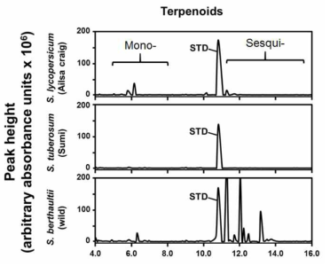 재배종 감자와 야생종 감자의 terpenoid 계열 물질의 함량 비교. 곤충저항성이 있는 것으로 알려진 재배종 토마토와 함께 비교하였다