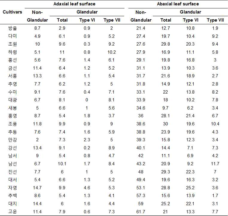 국내 재배 품종 잎 표면의 모용 밀도(per 1mm2). 모용의 종류는 그림 11.에 나타내었다. 모용의 밀도는 각 식물체 당 3개의 잎을 채취하여 3번 반복하여 조사하였다