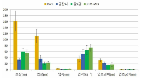 JG21-MJ의 형태적 특성(2016년 제주대학교_남원 LMO격리포장)