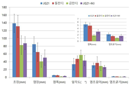 JG21-MJ의 형태적 특성(2017년 제주대학교_제주시 LMO격리포장)