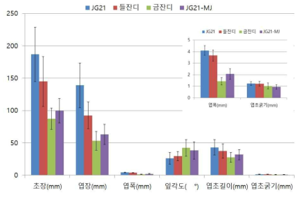 JG21-MJ의 형태적 특성(2017년 농촌진흥청_전주 LMO격리포장)