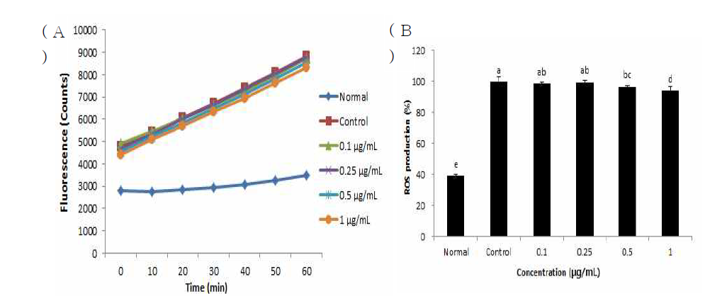 Effect of the antlered form of Ganoderma lucidum extract on level of ROS in LPS/IFN-γ-treated RAW 264.7 macrophage cells (A: Time course of change in intensity of ROS fluorescence with the antlered form of Ganoderma lucidum extract; B: The production of ROS treated with antlered form of Ganoderma lucidum extract) Values are mean±SD a-eMeans with the different letters are significantly different (P<0.05) by Duncan's multiple range test