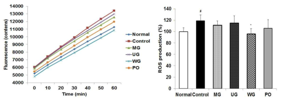 Effect of administration of MG, UG, WG (150 mg/kg/day) and PO (5 mg/kg/day) on ROS production in liver of LPS-induced C57BL/6 mice. Values are mean±SD. #P < .05 compared with the normal group. *P < .05 compared with the control group by student’s t-test. PO: Donepezil (5 mg/kg/day) was used as a positive control