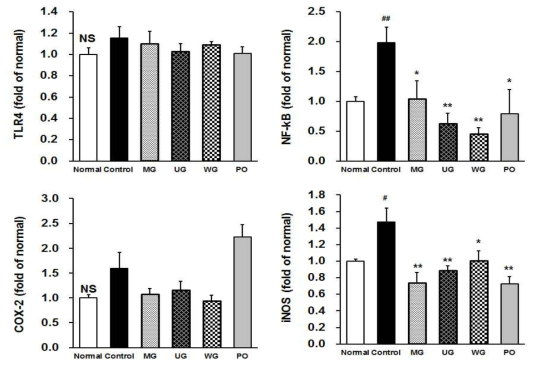 Effects of MG, UG, WG (150 mg/kg/day) and PO (5 mg/kg/day) on inflammatory mediator-related protein expressions including TLR4, NF-κB, COX-2 and iNOS in liver of LPS-induced C57BL/6 mice. Values are mean±SD. #P < .05 or ##P < .01 compared with the normal group. *P < .05 or **P < .01 compared with the control group. NS indicates no significant differences among experimental groups by student t-test. PO: Donepezil (5 mg/kg/day) was used as a positive control