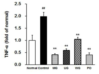 Effects of MG, UG, WG (150 mg/kg/day) and PO (5 mg/kg/day) on TNF-α protein expression in liver of LPS-induced C57BL/6 mice. Values are mean±SD. ##P < .01 compared with the normal group. **P < .01 compared with the control group by student’s t-test. PO: Donepezil (5mg/kg/day) was used as a positive control