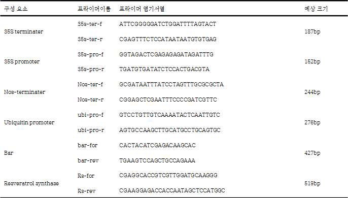 레스베라트롤 생합성 캘러스 도입유전자 분석을 위한 PCR primer