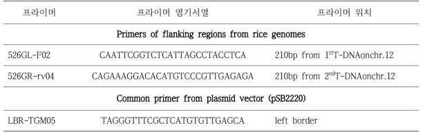 레스베라트롤 생합성 캘러스 주변서열 분석을 위한 primer 정보 분석