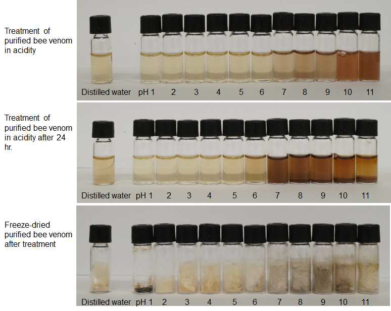 Picture of treatment of purified bee venom with acidity