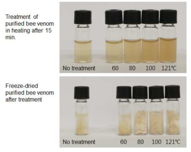 Picture of treatment of purified bee venom with heating