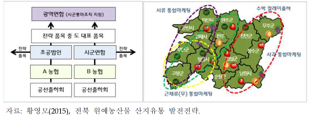 전북 시군단위 통합마케팅의 지원, 광역연합 사업 시스템