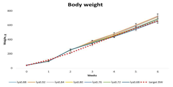 Lys 7처리에 따른 6주간 체중