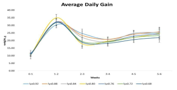 Lys 7처리에 따른 6주간 일당증체량