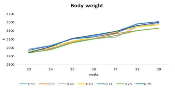 Lys 7처리에 따른 6주간 체중