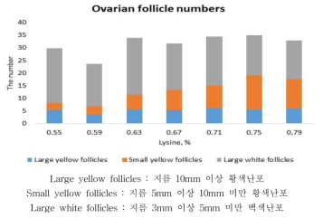 29주령 난포의 분류와 각 개수