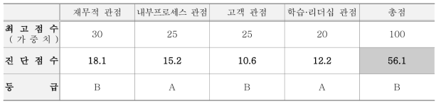 채소마을의 경영진단 관점별 평가점수와 등급