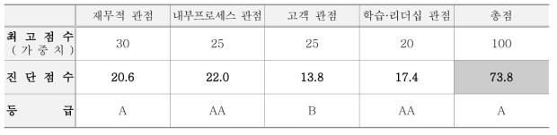 우리손에프엔지 경영진단 관점별 평가점수와 등급