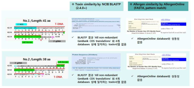 TRX 형질전환 대두(4025 계통)에서 새롭게 생성되는 ORF 및 해당 유전자 산물의 독성 및 알레르겐 여부 확인