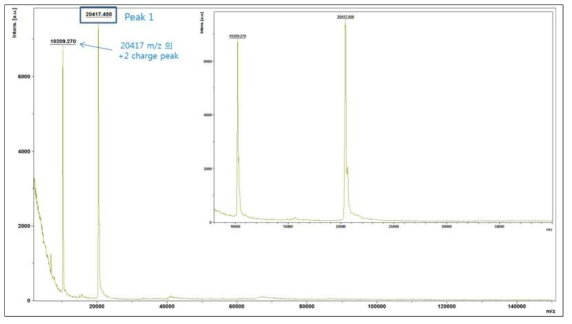 MALDI-TOF ms analysis of purified PAT protein from GM hTRX soybean leaves