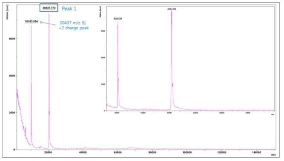MALDI-TOF ms analysis of purified PAT protein from GM hEGF soybean leaves
