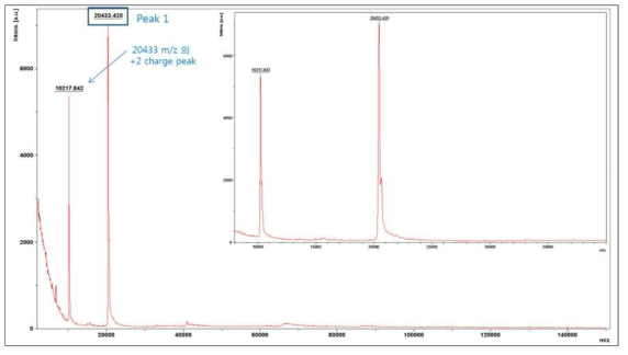 MALDI-TOF ms analysis of purified PAT protein from GM hIGF soybean leaves